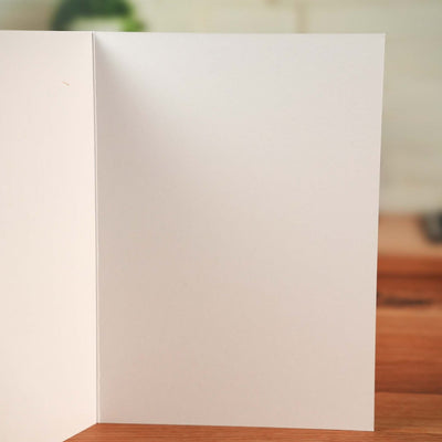 Holy Shit So Excited Card - Minimalist Studio