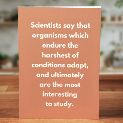 The Profanity Pack - Cards That Don't Suck™ - Minimalist Studio