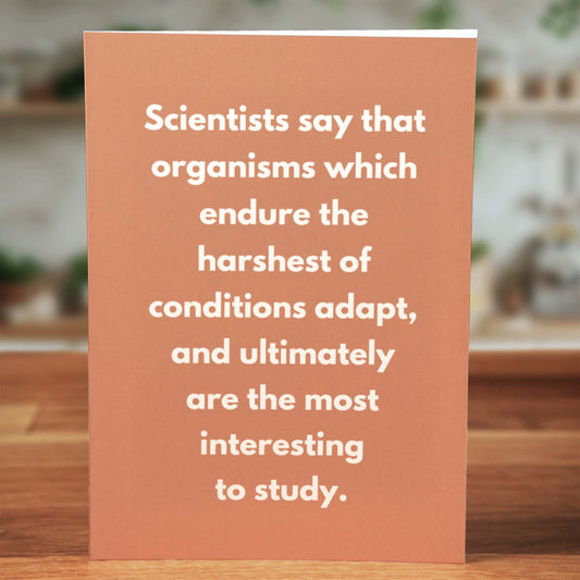 The Profanity Pack - Cards That Don't Suck™ - Minimalist Studio