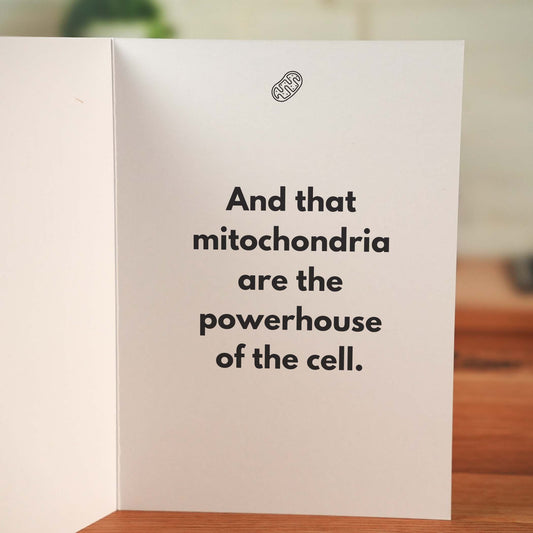 The Starter Pack - Cards That Don't Suck™ - Minimalist Studio