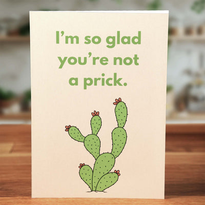 The Starter Pack - Cards That Don't Suck™ - Minimalist Studio