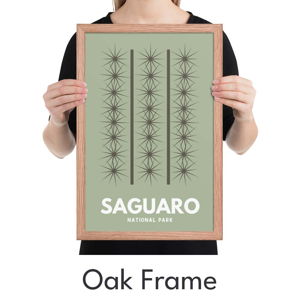 Saguaro National Park Art Print