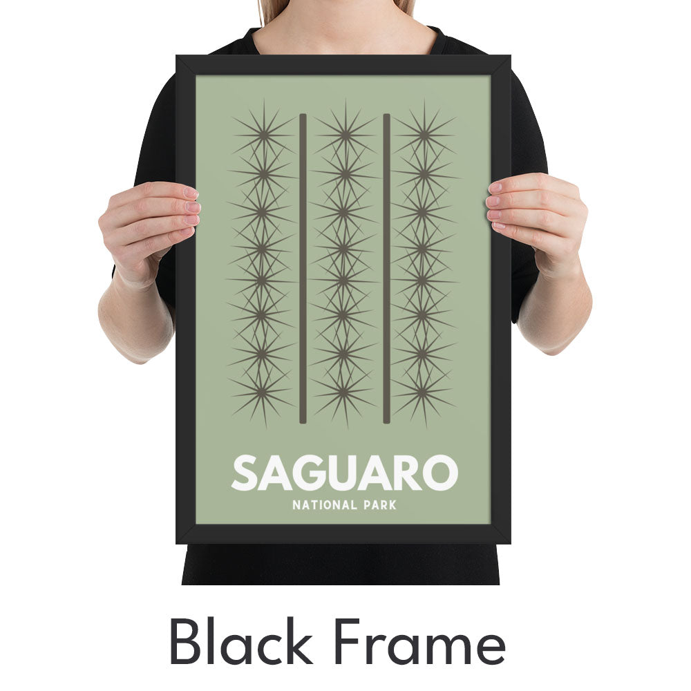 Saguaro National Park Art Print