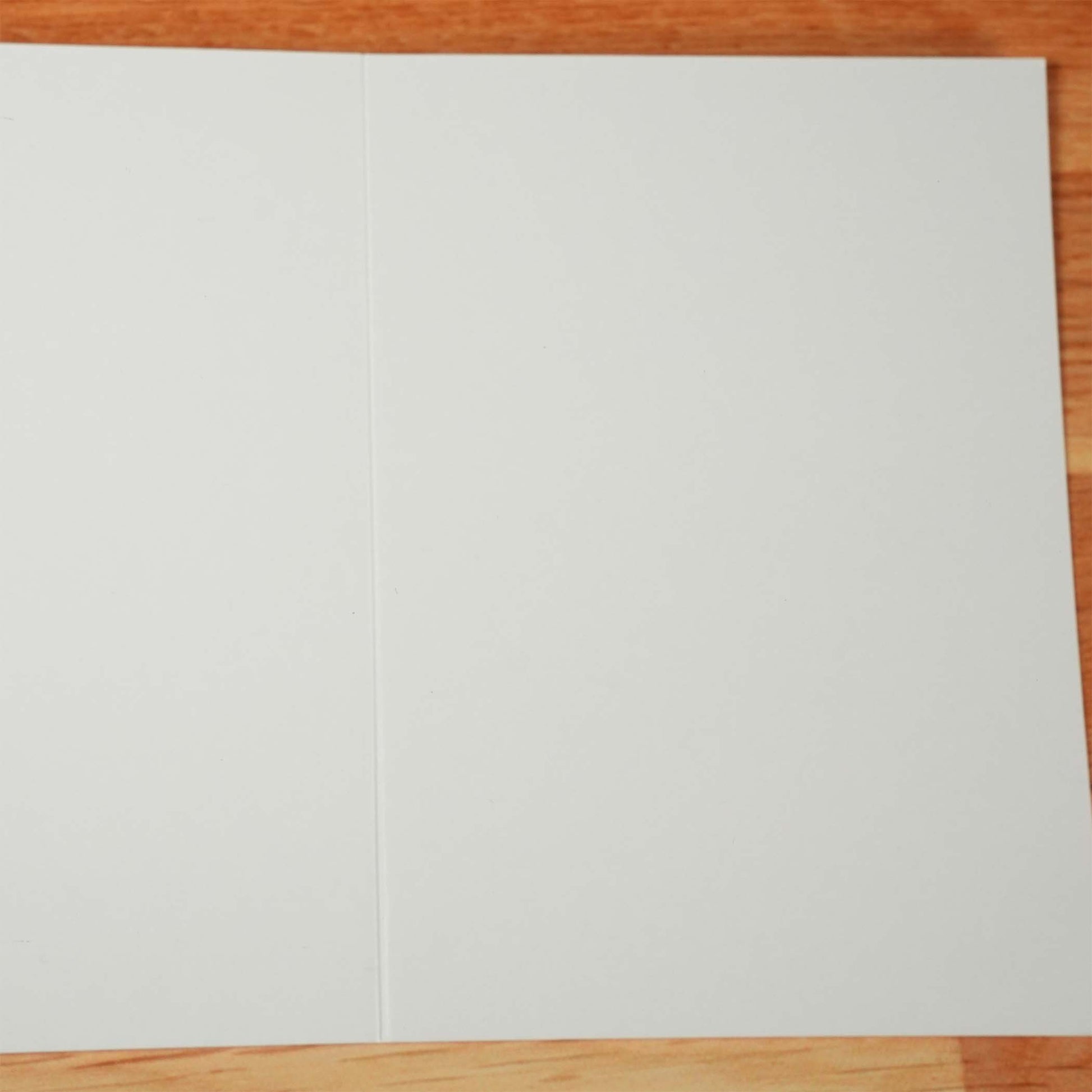 Holy Shit So Excited Card - Minimalist Studio