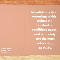 Harshest Conditions Sympathy Card - Minimalist Studio
